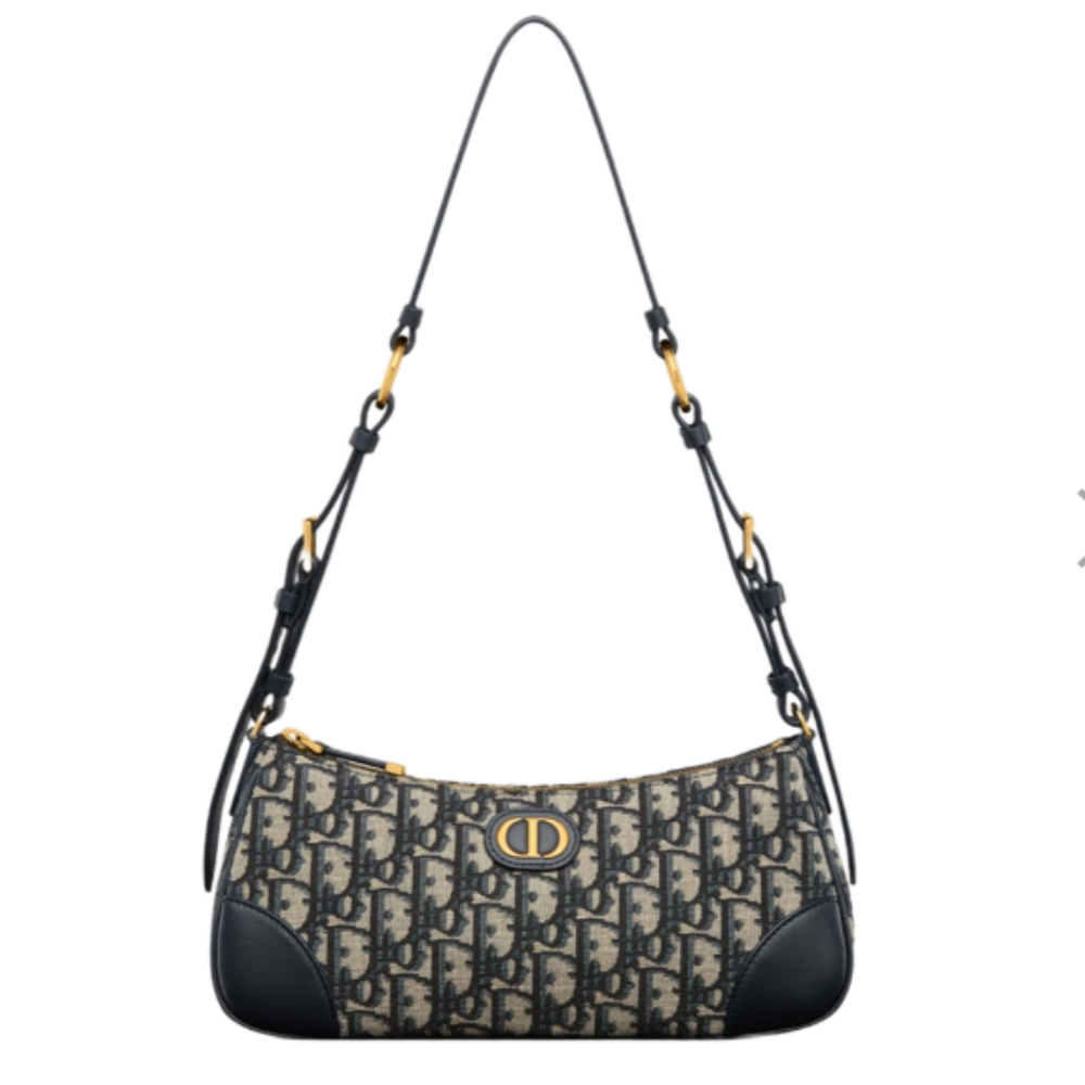 디올 30몽테인 원더러스트 미니백