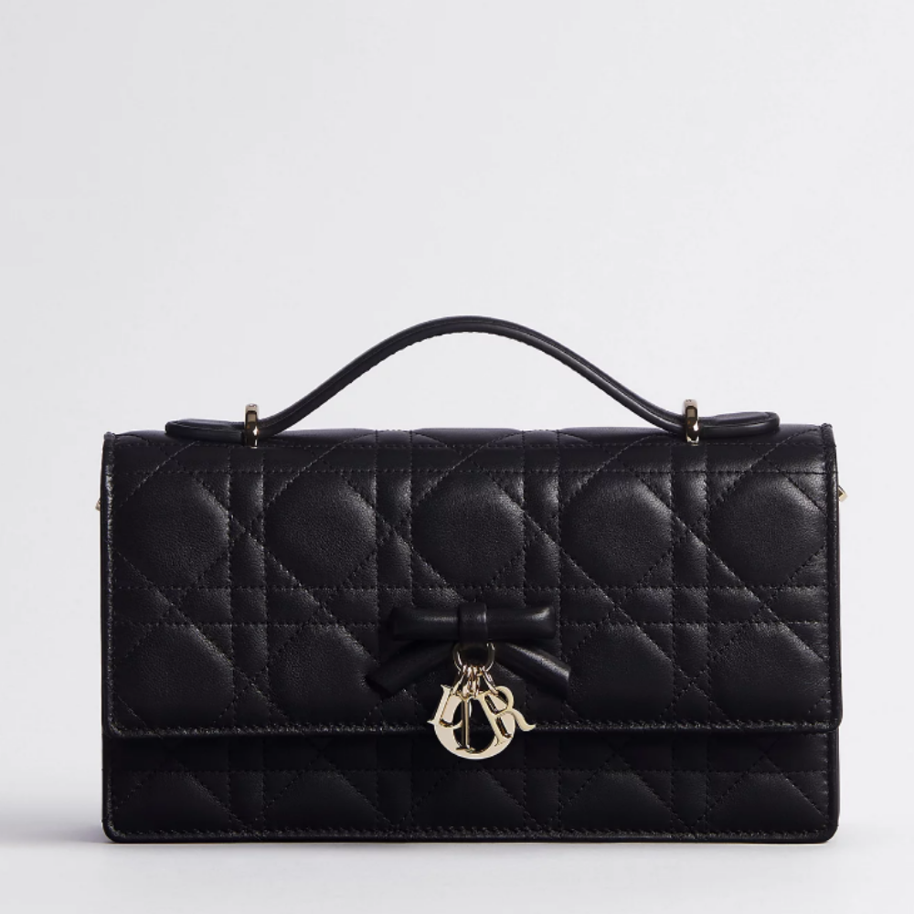 디올 미니 백 블랙 까나쥬